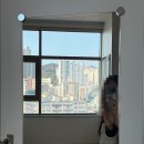 회생약품 | 새집으로 회생시켜준 부산 입주청소업체 추천_청소재이