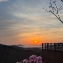 진달래어린이공원 | 강화도 고려산 진달래 축제 주차 꿀팁 &amp; 일몰 산행 후기 (백련사 코스)