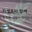 초마 - 사상구 사상로 123 | 초마