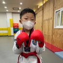 민들레 태권도장 이미지