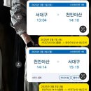 삼일절에는 무엇을 했을까?