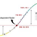 스타인터내셔널 이미지