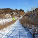 충북 보은군 탄부면 평각리 / 대지, 농가주택부지 다용도부지 펜션부지 펜션용지 단독주택용지 / 3 이미지