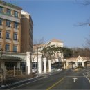 분당-259 이미지