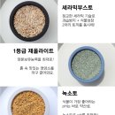 프라임로 네이버블로그