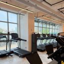 짐블랙 피트니스 이미지