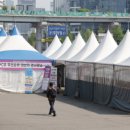 대구초등학교 네이버블로그