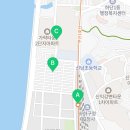 하단동175 이미지