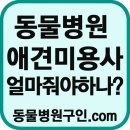 야옹동물병원 이미지
