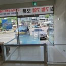 하동동물병원 네이버블로그