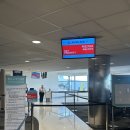 시드니 직항 대한항공 프레티지석 기내식 와인 종류