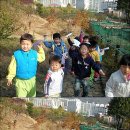 숲소리어린이집 이미지