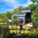 북악스카이웨이 카페, 부암동 7번지 제빵소 새로 생긴 빵 맛집 후기