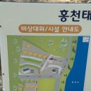 홍천 애견 동반 가능 태극 캠핑장 추천 후기