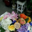 소호어린이집 이미지