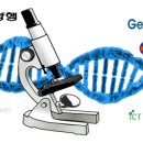 대한글로벌팜