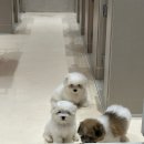 코튼빌리지 부산본점 이미지
