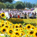 인제12-3 이미지