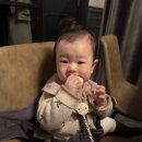 비놀릭스위트 이미지