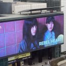 섭리유치원 | (설 연휴에 서울 여행 3박 4일1일차) 코엑스 아쿠아리움 방문 후기!