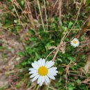 영각사주차장 이미지