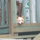 머물다감 | 몰아서 써보자 _짧은 대전 성심당 후기