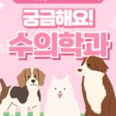 공감플러스