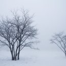 뽀록당구장 이미지