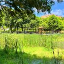 자연수변공원 이미지