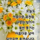 박쌤 공부방 이미지