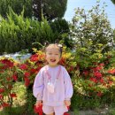 꽃과 한옥 이미지