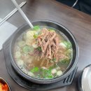 옥천빌딩 | 대전 여행동안 먹은 유명 웨이팅 맛집들 솔직후기! | 태평소국밥 •오씨칼국수 •손의손 본점 •광천...