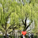 만랩커피 묵동점 이미지