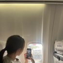 쪄죽기 직전 여름 제주도
