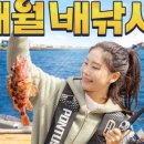 성안호 이미지