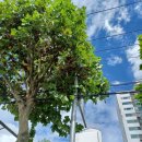 부천소방서119구급대 이미지