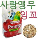 모이프레스티지 이미지