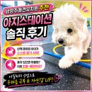 자유유치원 | 남양주애견유치원 추천 아지스테이션 솔직 후기｜산책 못하던 강아지가 달라졌어요~