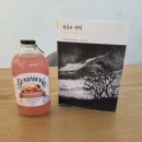 238 | 대전 독서모임 후기 238회 : 폭풍의 언덕 / 에밀리 브론테