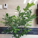 태건농장 이미지