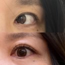 엘르 | 서울 성신여대 | 속눈썹 펌 연장 전문 '제이엘르' 후기