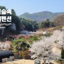 별헤는 펜션 이미지