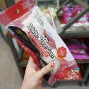 윌동물외상센터 이미지