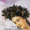 플로허 이미지