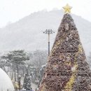 함평엑스포공원 이미지