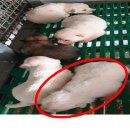 소가야중학교 이미지