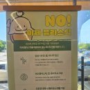 커피애광 이미지