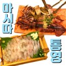마시따통영
