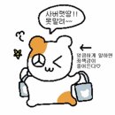 2025 헤이엄 팝업 후기: 알로하베어 &amp; 레몬체커 수영복🩱,프리마돈나(발레토끼) 수모🐰