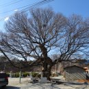 연하2리 경로당 이미지